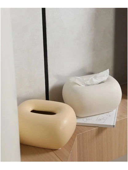  Not Just a Tissue Box, A Piece of Decor